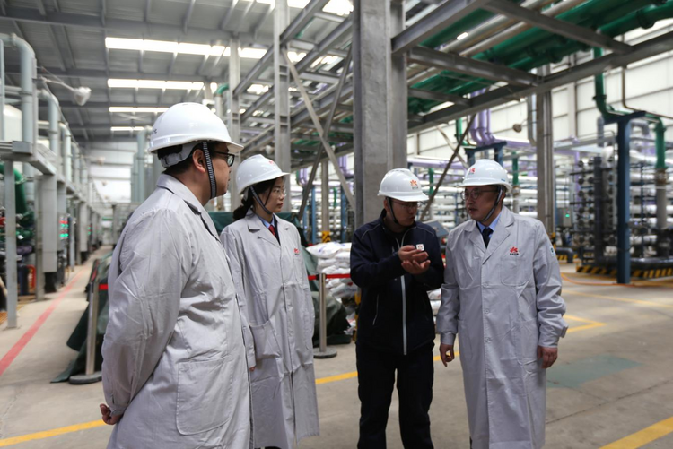 稅務(wù)服務(wù)賦新能，創(chuàng)新驅(qū)動(dòng)贏未來——資源再生利用技術(shù)研發(fā)的機(jī)遇與路徑